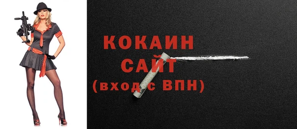 стафф Кодинск
