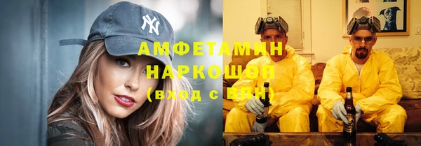 стафф Кодинск
