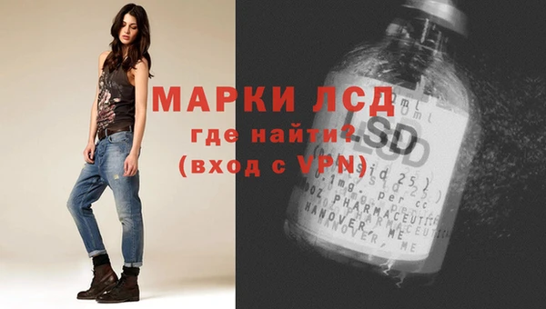 стафф Кодинск