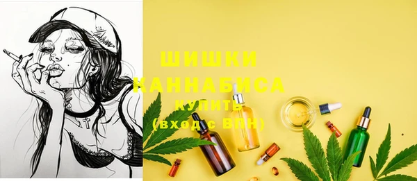 стафф Кодинск