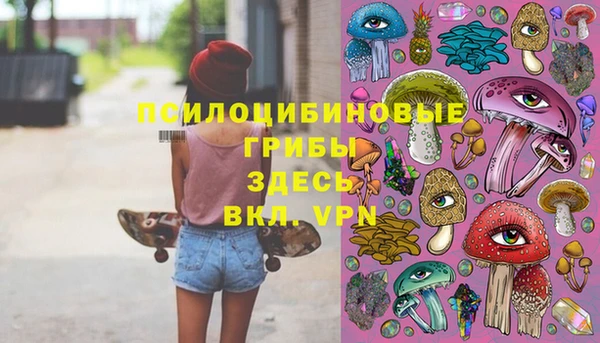 дживик Козловка