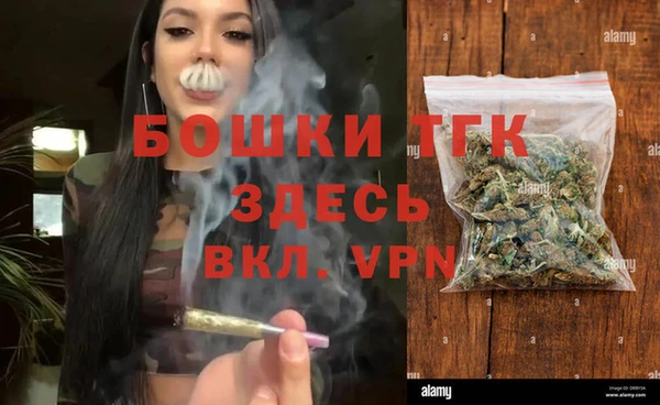 стафф Кодинск