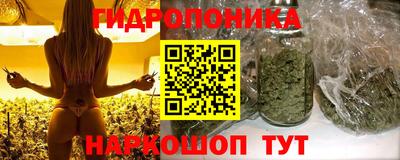 ALPHA PVP Гай