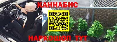 ALPHA PVP Гай
