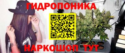 СК Гагарин