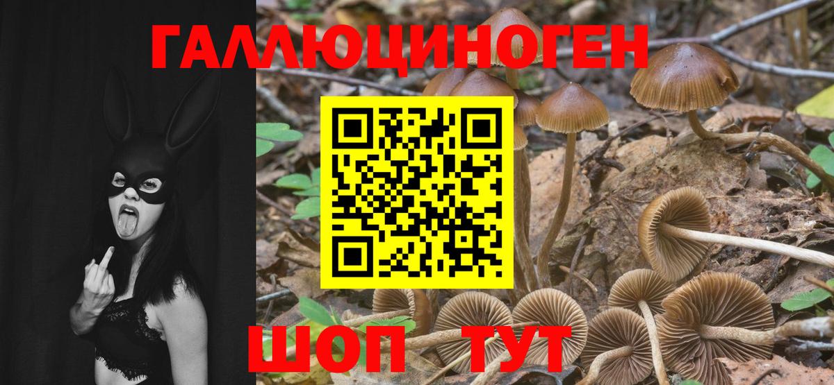 Лянтор  Галлюциногенные грибы мухоморы  Вход с VPN 